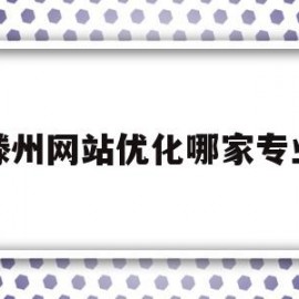 滕州网站优化哪家专业的简单介绍