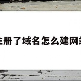 注册了域名怎么建网站(注册完域名后如何构建个人网站)