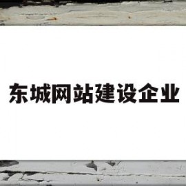 东城网站建设企业(东城网络科技有限公司)