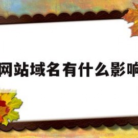 网站域名有什么影响(网站的域名会产生域名效应因而域名是企业的无形资产)