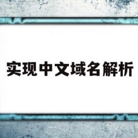 实现中文域名解析(中文域名解析后无法访问)