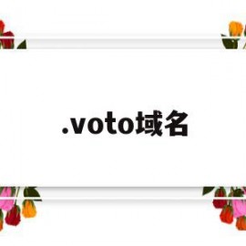 .voto域名(ovh域名)