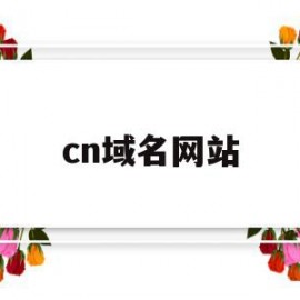 cn域名网站(cn的域名值钱吗)