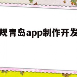 正规青岛app制作开发公司(青岛的软件开发企业主要集中在哪)