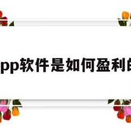 app软件是如何盈利的(app软件是如何盈利的呢)