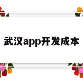 武汉app开发成本(app 开发成本)