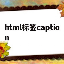 html标签caption的简单介绍