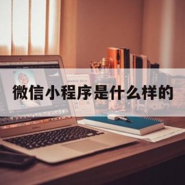 微信小程序是什么样的(微信小程序是什么的应用)