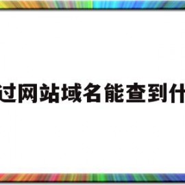 通过网站域名能查到什么(通过网站域名能查到什么东西)