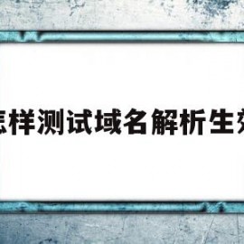 怎样测试域名解析生效(怎么看域名解析是否生效)