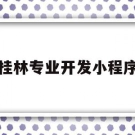 桂林专业开发小程序的简单介绍