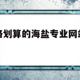 价格划算的海盐专业网站建设(海盐网下载)