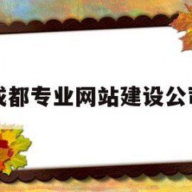 成都专业网站建设公司(成都企业网站建设公司)