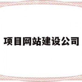 项目网站建设公司(网站建设公司是干嘛的)