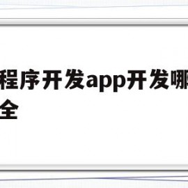 小程序开发app开发哪家安全(小程序开发哪里好)