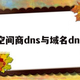 空间商dns与域名dns(简述域名空间的基本概念以及dns的工作过程)