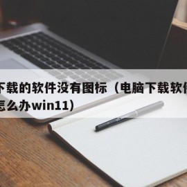 电脑下载的软件没有图标（电脑下载软件没有图标怎么办win11）