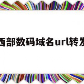 西部数码域名url转发(西部数码的域名如何转到阿里云)