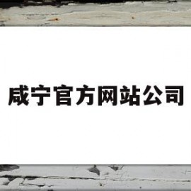 咸宁官方网站公司(咸宁市官方网站查询)