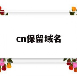 cn保留域名(保留域名每年费用)