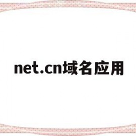 net.cn域名应用(cn域名和net域名哪个好)