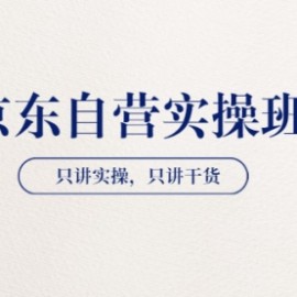 【京东自营实操班】只讲实操，只讲干货（28小时课程-共2期）价值4980