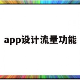 app设计流量功能(app设计流量功能是什么)