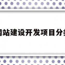 网站建设开发项目分类(网站建设开发项目分类有哪些)