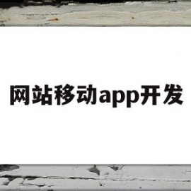 网站移动app开发(网站移动app开发流程)