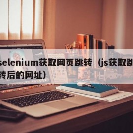 selenium获取网页跳转（js获取跳转后的网址）