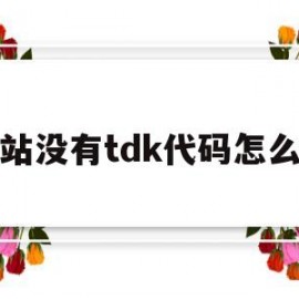 网站没有tdk代码怎么办(找不到网站代码)