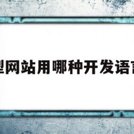 大型网站用哪种开发语言好(大型网站用哪种开发语言好呢)