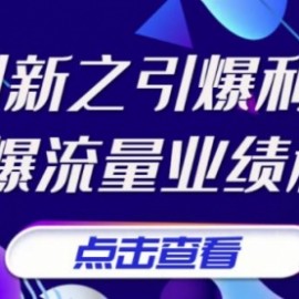 张琦《商业创新之引爆利润增长》引爆流量业绩利润