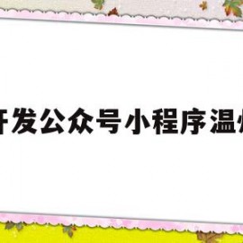 开发公众号小程序温州(温州微信官网制作公司)