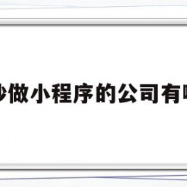 长沙做小程序的公司有哪些(长沙微信小程序开发多少钱)