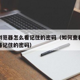 搜狗浏览器怎么看记住的密码（如何查看搜狗浏览器记住的密码）