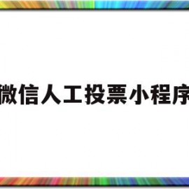 微信人工投票小程序(微信投票人工平台有哪些)