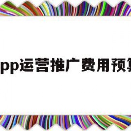 app运营推广费用预算(app运营推广费用预算怎么做)