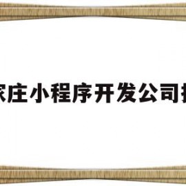 石家庄小程序开发公司招聘(石家庄小程序开发公司招聘信息)