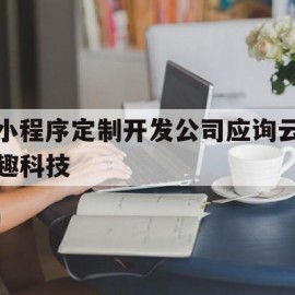 小程序定制开发公司应询云趣科技(云趣网络公司)