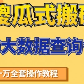 傻瓜式搬砖操作大数据查询信用赚钱方法：助你快速月入6万全套操作教程