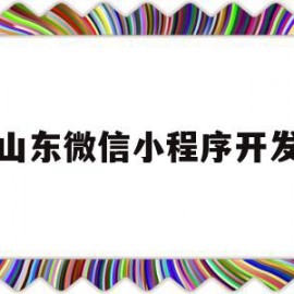 山东微信小程序开发(微信小程序开发 淄博)