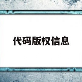 代码版权信息(代码版权符号怎么打)