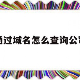 通过域名怎么查询公司(如何查询公司域名相关信息)