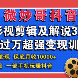 影视剪辑及解说3.0：零基础，一部手机玩赚抖音，多途径月收入10000+