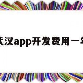 武汉app开发费用一年(武汉app开发费用一年多少)