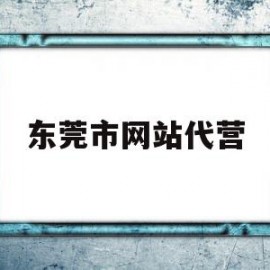 东莞市网站代营(东莞市企业代理服务行业协会)