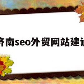 济南seo外贸网站建设(济南seo外贸网站建设方案)