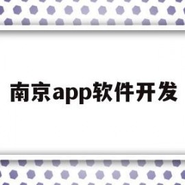 南京app软件开发(南京app软件开发公司排名)