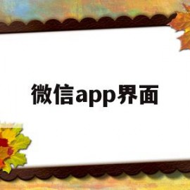 微信app界面(微信app界面图片)